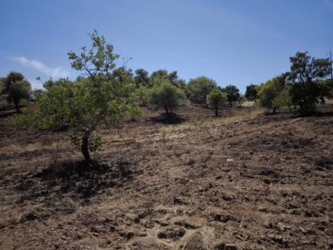TERRENO RUSTICO COM 22.320 M2 - POSSIBILIDADE DE CONSTRUIR APOIO AGRÍCOLA - COM SOBREIROS - RIO SECO - CASTRO MARIM - ALGARVE