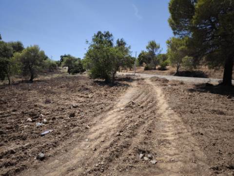 TERRENO RUSTICO COM 22.320 M2 - POSSIBILIDADE DE CONSTRUIR APOIO AGRÍCOLA - COM SOBREIROS - RIO SECO - CASTRO MARIM - ALGARVE