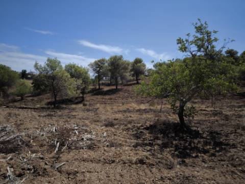 TERRENO RUSTICO COM 22.320 M2 - POSSIBILIDADE DE CONSTRUIR APOIO AGRÍCOLA - COM SOBREIROS - RIO SECO - CASTRO MARIM - ALGARVE