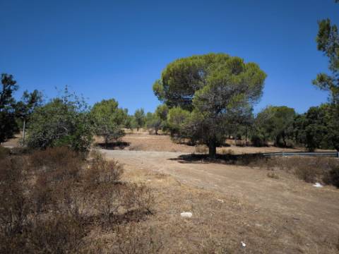TERRENO RUSTICO COM 22.320 M2 - POSSIBILIDADE DE CONSTRUIR APOIO AGRÍCOLA - COM SOBREIROS - RIO SECO - CASTRO MARIM - ALGARVE