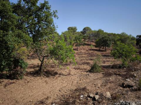 TERRENO RUSTICO COM 22.320 M2 - POSSIBILIDADE DE CONSTRUIR APOIO AGRÍCOLA - COM SOBREIROS - RIO SECO - CASTRO MARIM - ALGARVE