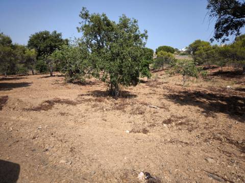 TERRENO RUSTICO COM 22.320 M2 - POSSIBILIDADE DE CONSTRUIR APOIO AGRÍCOLA - COM SOBREIROS - RIO SECO - CASTRO MARIM - ALGARVE