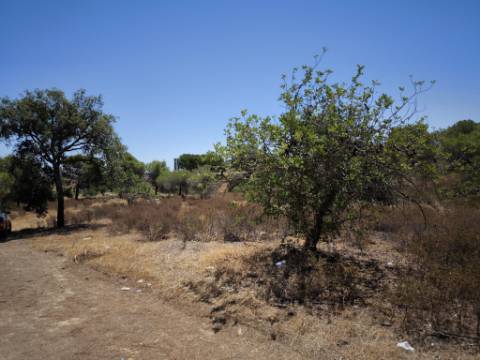 TERRENO RUSTICO COM 22.320 M2 - POSSIBILIDADE DE CONSTRUIR APOIO AGRÍCOLA - COM SOBREIROS - RIO SECO - CASTRO MARIM - ALGARVE