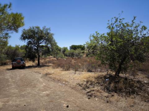 TERRENO RUSTICO COM 22.320 M2 - POSSIBILIDADE DE CONSTRUIR APOIO AGRÍCOLA - COM SOBREIROS - RIO SECO - CASTRO MARIM - ALGARVE
