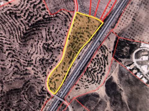 TERRENO RUSTICO COM 22.320 M2 - POSSIBILIDADE DE CONSTRUIR APOIO AGRÍCOLA - COM SOBREIROS - RIO SECO - CASTRO MARIM - ALGARVE