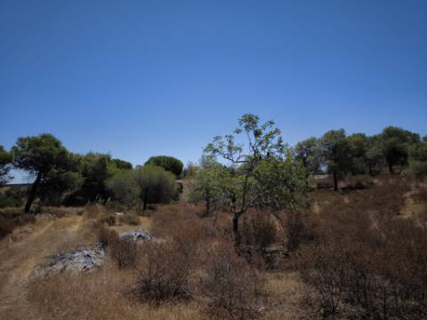 TERRENO RUSTICO COM 22.320 M2 - POSSIBILIDADE DE CONSTRUIR APOIO AGRÍCOLA - COM SOBREIROS - RIO SECO - CASTRO MARIM - ALGARVE