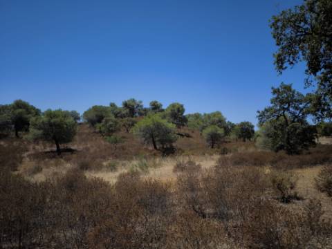 TERRENO RUSTICO COM 22.320 M2 - POSSIBILIDADE DE CONSTRUIR APOIO AGRÍCOLA - COM SOBREIROS - RIO SECO - CASTRO MARIM - ALGARVE
