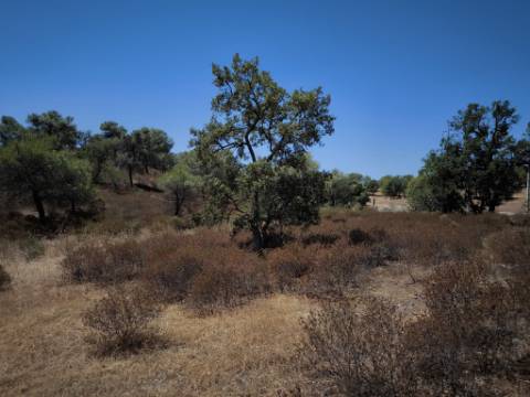 TERRENO RUSTICO COM 22.320 M2 - POSSIBILIDADE DE CONSTRUIR APOIO AGRÍCOLA - COM SOBREIROS - RIO SECO - CASTRO MARIM - ALGARVE
