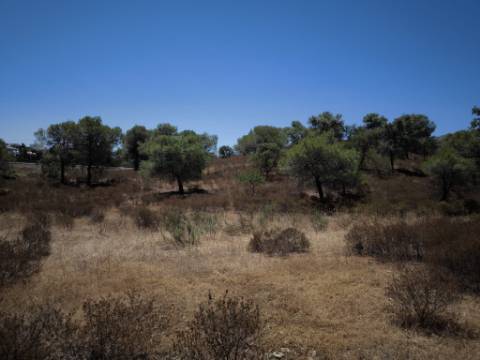 TERRENO RUSTICO COM 22.320 M2 - POSSIBILIDADE DE CONSTRUIR APOIO AGRÍCOLA - COM SOBREIROS - RIO SECO - CASTRO MARIM - ALGARVE