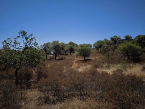 TERRENO RUSTICO COM 22.320 M2 - POSSIBILIDADE DE CONSTRUIR APOIO AGRÍCOLA - COM SOBREIROS - RIO SECO - CASTRO MARIM - ALGARVE