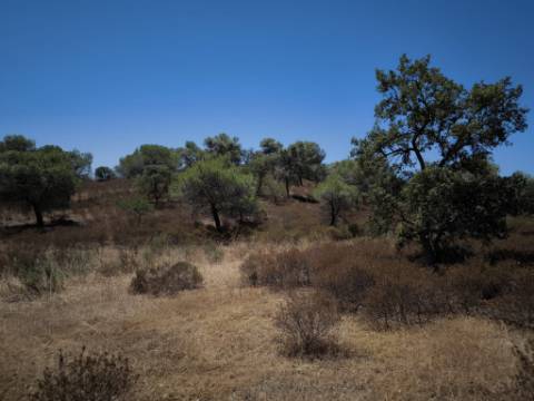 TERRENO RUSTICO COM 22.320 M2 - POSSIBILIDADE DE CONSTRUIR APOIO AGRÍCOLA - COM SOBREIROS - RIO SECO - CASTRO MARIM - ALGARVE