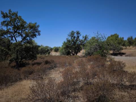 TERRENO RUSTICO COM 22.320 M2 - POSSIBILIDADE DE CONSTRUIR APOIO AGRÍCOLA - COM SOBREIROS - RIO SECO - CASTRO MARIM - ALGARVE