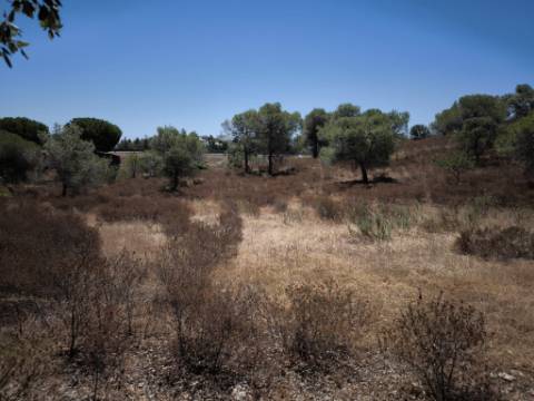 TERRENO RUSTICO COM 22.320 M2 - POSSIBILIDADE DE CONSTRUIR APOIO AGRÍCOLA - COM SOBREIROS - RIO SECO - CASTRO MARIM - ALGARVE