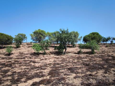 TERRENO RUSTICO COM 22.320 M2 - POSSIBILIDADE DE CONSTRUIR APOIO AGRÍCOLA - COM SOBREIROS - RIO SECO - CASTRO MARIM - ALGARVE