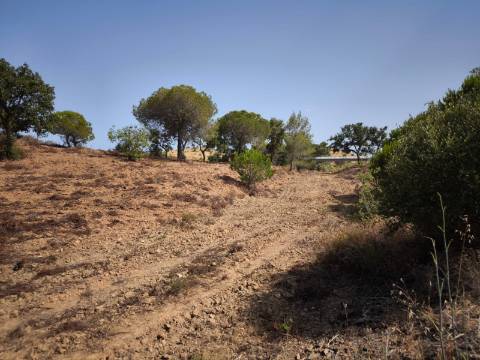 TERRENO RUSTICO COM 22.320 M2 - POSSIBILIDADE DE CONSTRUIR APOIO AGRÍCOLA - COM SOBREIROS - RIO SECO - CASTRO MARIM - ALGARVE