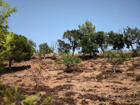 TERRENO RUSTICO COM 22.320 M2 - POSSIBILIDADE DE CONSTRUIR APOIO AGRÍCOLA - COM SOBREIROS - RIO SECO - CASTRO MARIM - ALGARVE