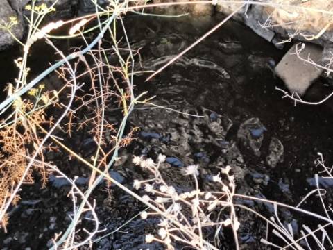 TERRENO RUSTICO COM 5.720 M2 - COM POÇO - CORTE DO GAGO - CASTRO MARIM - ALGARVE