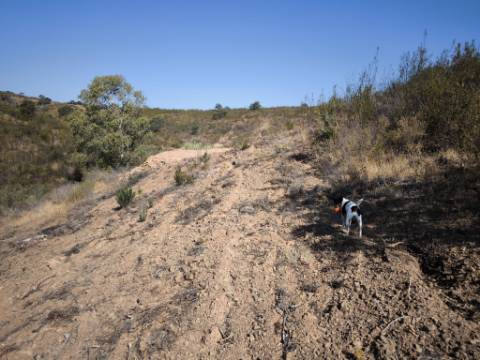 TERRENO RUSTICO COM 5.720 M2 - COM POÇO - CORTE DO GAGO - CASTRO MARIM - ALGARVE