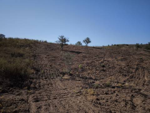 TERRENO RUSTICO COM 5.720 M2 - COM POÇO - CORTE DO GAGO - CASTRO MARIM - ALGARVE