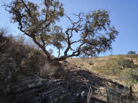 TERRENO RUSTICO COM 5.720 M2 - COM POÇO - CORTE DO GAGO - CASTRO MARIM - ALGARVE