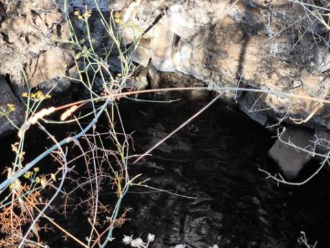 TERRENO RUSTICO COM 5.720 M2 - COM POÇO - CORTE DO GAGO - CASTRO MARIM - ALGARVE