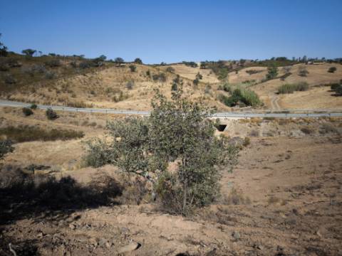 TERRENO RUSTICO COM 5.720 M2 - COM POÇO - CORTE DO GAGO - CASTRO MARIM - ALGARVE