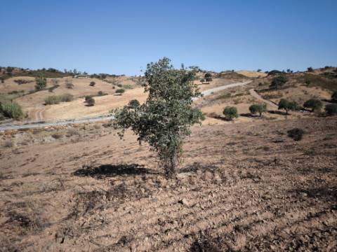 TERRENO RUSTICO COM 5.720 M2 - COM POÇO - CORTE DO GAGO - CASTRO MARIM - ALGARVE