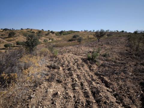 TERRENO RUSTICO COM 5.720 M2 - COM POÇO - CORTE DO GAGO - CASTRO MARIM - ALGARVE