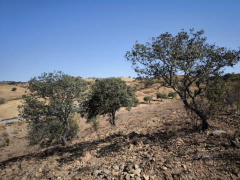 TERRENO RUSTICO COM 5.720 M2 - COM POÇO - CORTE DO GAGO - CASTRO MARIM - ALGARVE