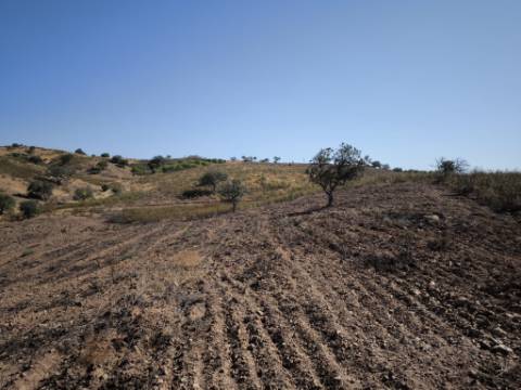 TERRENO RUSTICO COM 5.720 M2 - COM POÇO - CORTE DO GAGO - CASTRO MARIM - ALGARVE