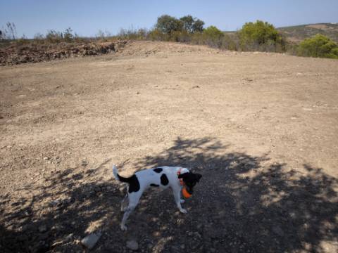 TERRENO COM 7.280 M2 - COM TERRAÇO - VISTA MAR - PRÓXIMO A CORTE DO GAGO - CASTRO MARIM - ALGARVE