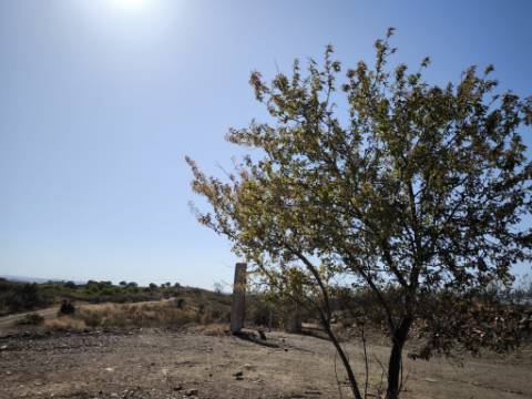 TERRENO COM 7.280 M2 - COM TERRAÇO - VISTA MAR - PRÓXIMO A CORTE DO GAGO - CASTRO MARIM - ALGARVE