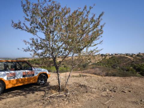 TERRENO COM 7.280 M2 - COM TERRAÇO - VISTA MAR - PRÓXIMO A CORTE DO GAGO - CASTRO MARIM - ALGARVE