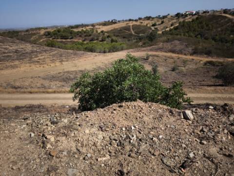 TERRENO COM 7.280 M2 - COM TERRAÇO - VISTA MAR - PRÓXIMO A CORTE DO GAGO - CASTRO MARIM - ALGARVE