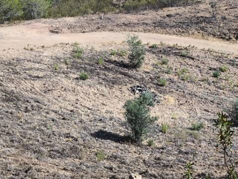 TERRENO COM 7.280 M2 - COM TERRAÇO - VISTA MAR - PRÓXIMO A CORTE DO GAGO - CASTRO MARIM - ALGARVE