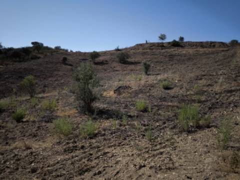 TERRENO COM 7.280 M2 - COM TERRAÇO - VISTA MAR - PRÓXIMO A CORTE DO GAGO - CASTRO MARIM - ALGARVE
