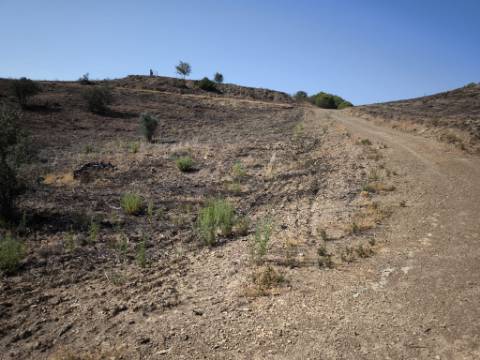 TERRENO COM 7.280 M2 - COM TERRAÇO - VISTA MAR - PRÓXIMO A CORTE DO GAGO - CASTRO MARIM - ALGARVE