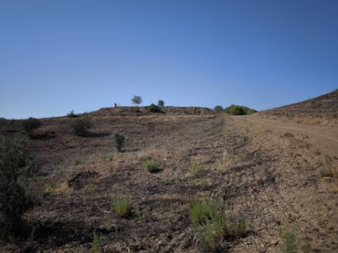 TERRENO COM 7.280 M2 - COM TERRAÇO - VISTA MAR - PRÓXIMO A CORTE DO GAGO - CASTRO MARIM - ALGARVE