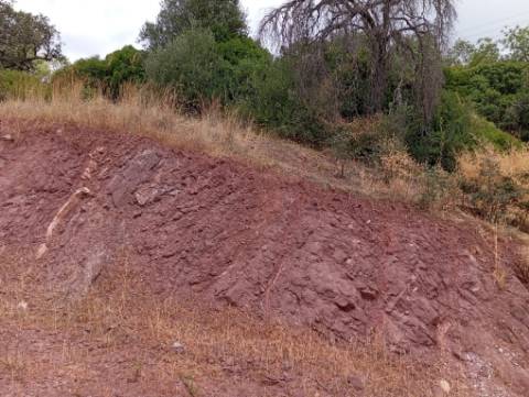 Terreno Urbano com 1232 m² em Santa Catarina da Fonte do Bispo - Excelente Oportunidade de Investimento