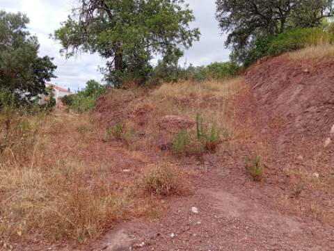 Terreno Urbano com 1232 m² em Santa Catarina da Fonte do Bispo - Excelente Oportunidade de Investimento