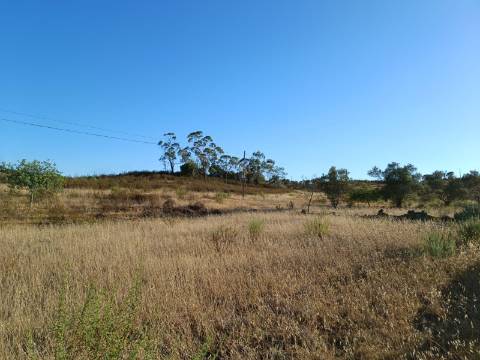 TERRENO COM ARMAZÉM - RUINA - NORA - FURO - COM 77.630 M2 - CONSTRUÇÃO DE MORADIA E TURISMO - MALHÃO - CASTRO MARIM - ALGARVE
