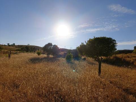 TERRENO COM ARMAZÉM - RUINA - NORA - FURO - COM 77.630 M2 - CONSTRUÇÃO DE MORADIA E TURISMO - MALHÃO - CASTRO MARIM - ALGARVE
