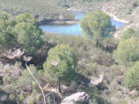 HERDADE COM 52 HECTARES - JUNTO A BARRAGEM DE ALCOUTIM - RIO CADAVAIS - ALCOUTIM - ALGARVE