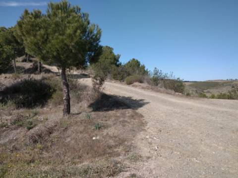 HERDADE COM 52 HECTARES - JUNTO A BARRAGEM DE ALCOUTIM - RIO CADAVAIS - ALCOUTIM - ALGARVE