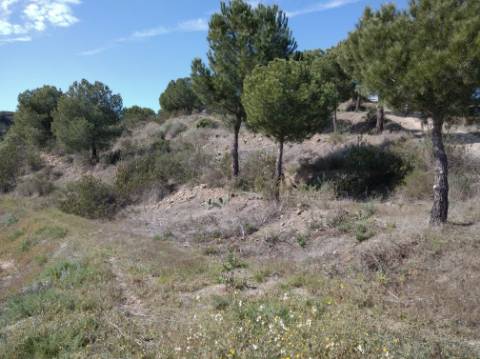 HERDADE COM 52 HECTARES - JUNTO A BARRAGEM DE ALCOUTIM - RIO CADAVAIS - ALCOUTIM - ALGARVE