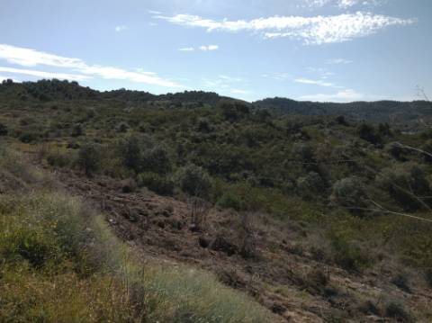HERDADE COM 52 HECTARES - JUNTO A BARRAGEM DE ALCOUTIM - RIO CADAVAIS - ALCOUTIM - ALGARVE