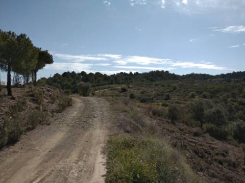 HERDADE COM 52 HECTARES - JUNTO A BARRAGEM DE ALCOUTIM - RIO CADAVAIS - ALCOUTIM - ALGARVE