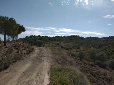 HERDADE COM 52 HECTARES - JUNTO A BARRAGEM DE ALCOUTIM - RIO CADAVAIS - ALCOUTIM - ALGARVE