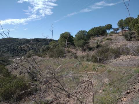 HERDADE COM 52 HECTARES - JUNTO A BARRAGEM DE ALCOUTIM - RIO CADAVAIS - ALCOUTIM - ALGARVE