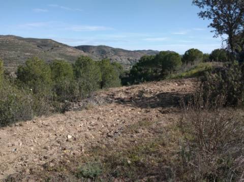 HERDADE COM 52 HECTARES - JUNTO A BARRAGEM DE ALCOUTIM - RIO CADAVAIS - ALCOUTIM - ALGARVE